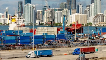 El gobierno de Trump actúa