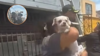 Policías rescatan a mascota atrapada en vivienda en llamas en el Callao