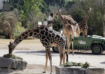 Benito con su nueva familia.