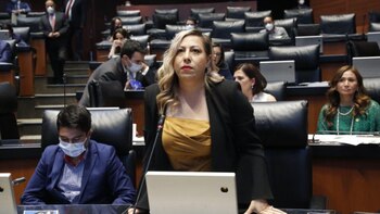 Diputada Lizbeth Mata Lozano, del