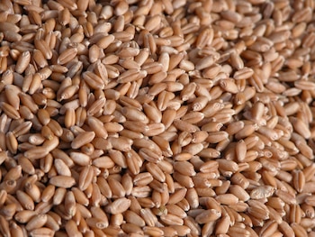 La Argentina ha tenido una