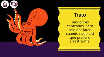 Pulpo (Foto: Google)