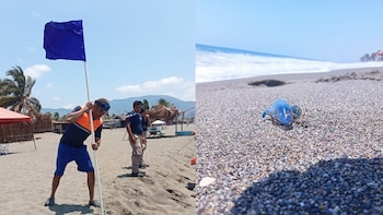 Alerta en Michoacán: detectan dragón