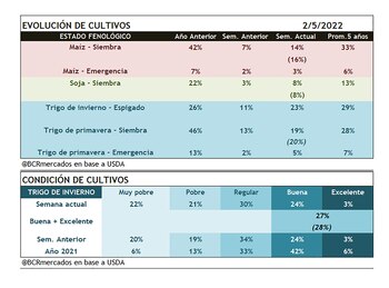 Estado de los cultivos en