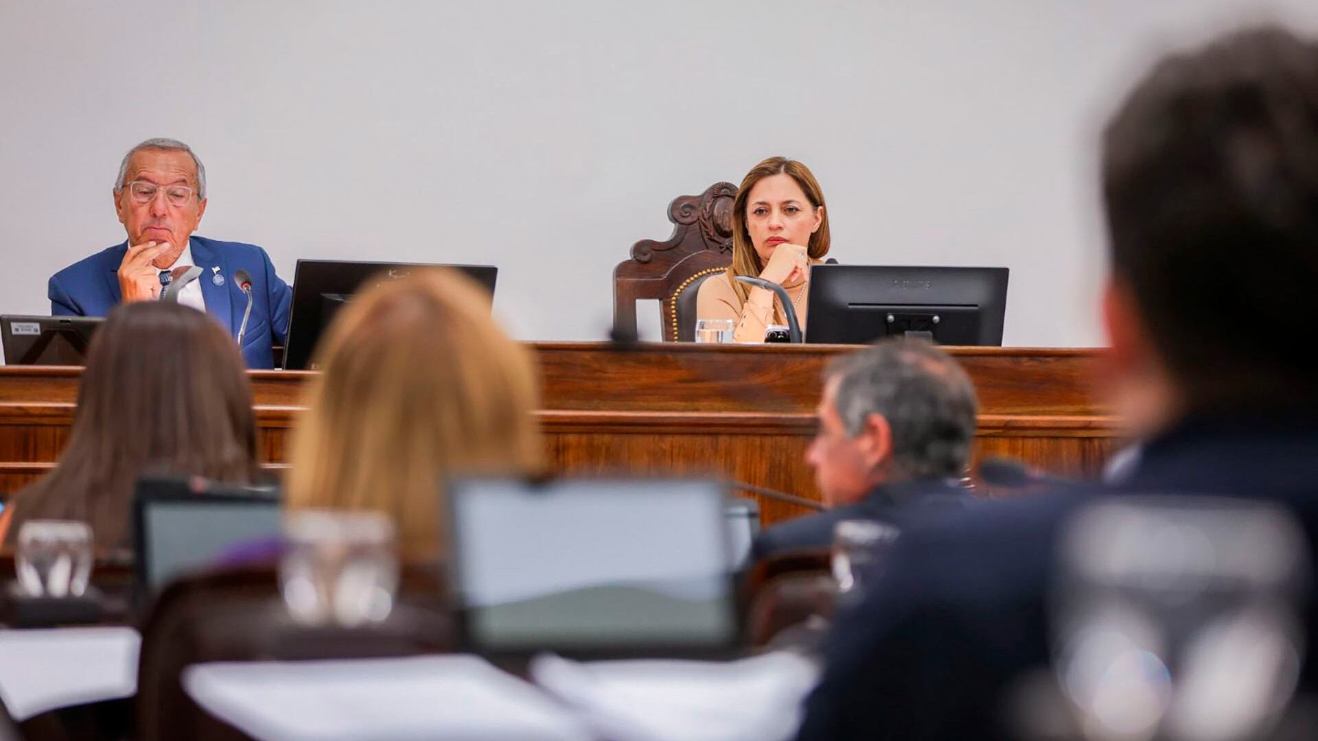 Distintos sectores económicos y profesionales participaron del proceso de elaboración