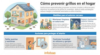 Infografía muestra una casa seccionada y grillos. Incluye gráficos de limpieza, reducción de iluminación exterior, sellado de ventanas y control de humedad.