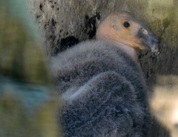 Imagen CB5RVSFPLBHJTBDHUXJM6CVC4E