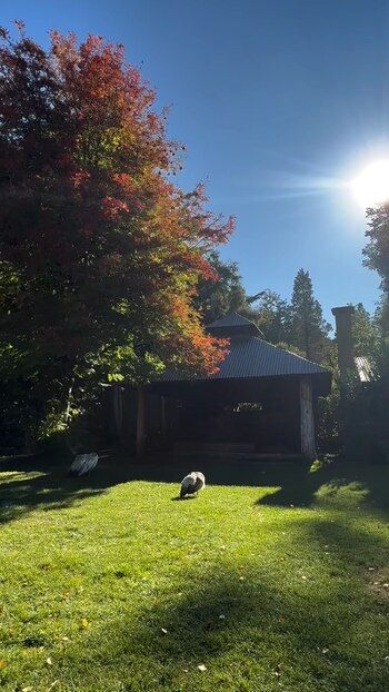 Completamente conectado con la naturaleza,