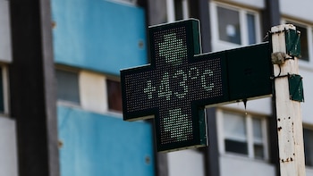 La OMS alerta de más de 1.300 muertes por calor extremo: “Europa es el continente que se calienta más rápido, al doble de la media global”