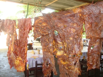 Originario de las regiones andinas,