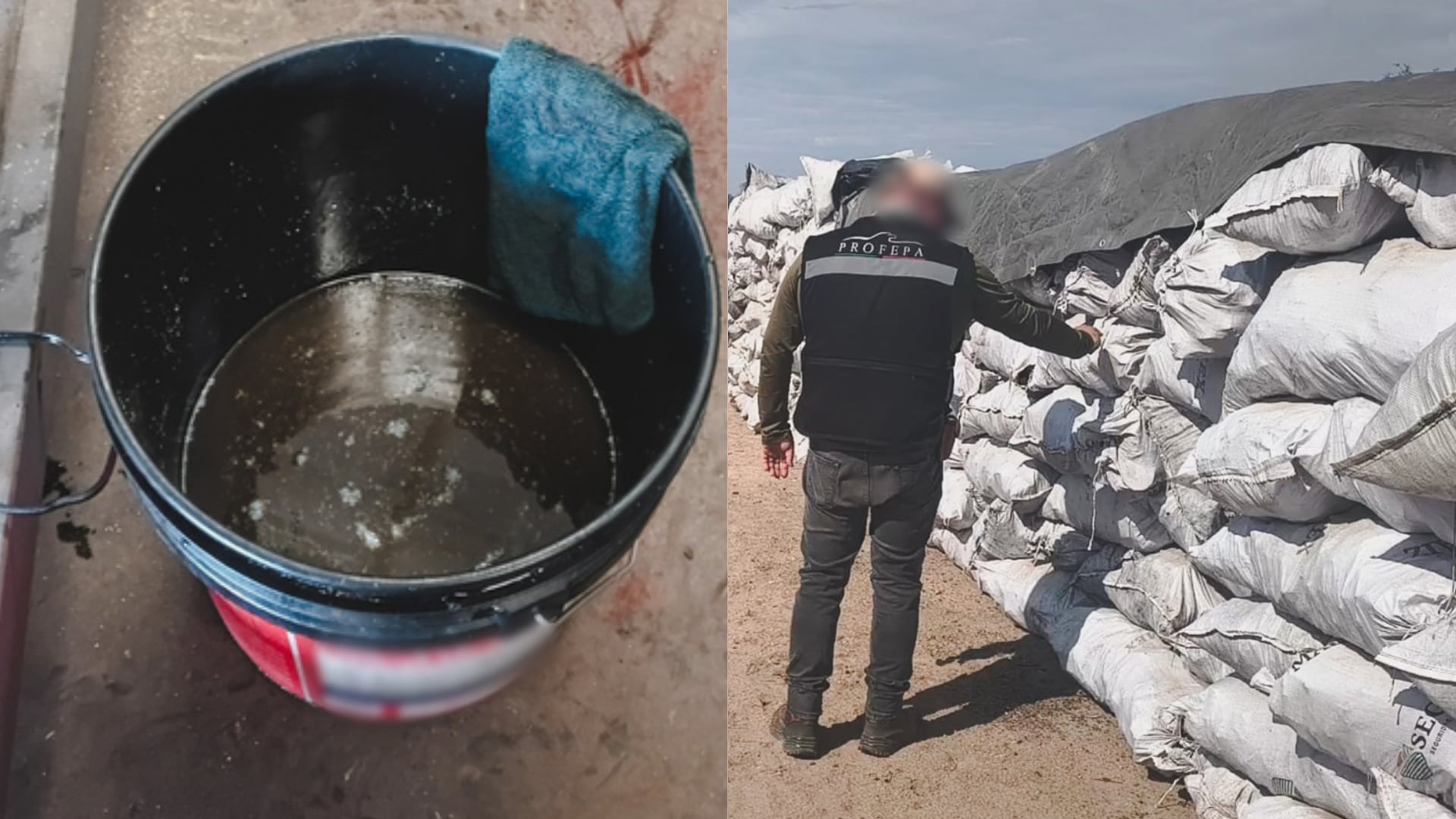 Profepa asegura más de 200 toneladas de carbón y clausura empresa en Durango. (Fotos: Profepa)