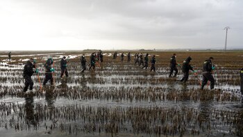 Aumentan a 217 las víctimas