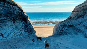 Cómo es Bahía Creek, la