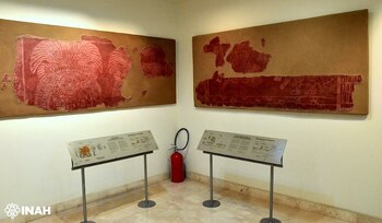 Especialistas en antropología y arqueología