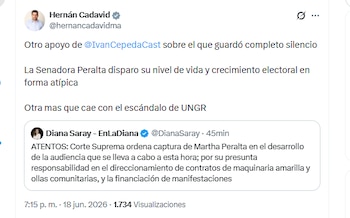 El congresista Hernán Cadavid reaccionó a la noticia sobre la detención de Martha Peralta por una noche para que comparezca a una indagatoria - crédito @hernancadavidma/X
