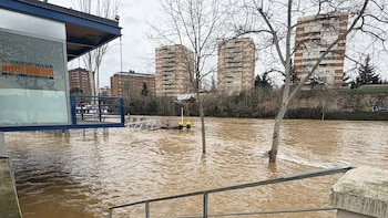 Junta declara el nivel 1