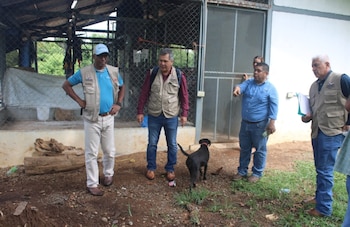En la comunidad de Montijo, donde se dio la primera muerte por hantavirus, funcionarios inspeccionaron el área. (MINSA)