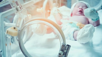Nuevo polígrafo portátil rastrea el estrés oculto en bebés y adultos