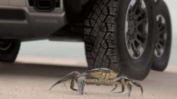 El "Modo cangrejo" permite que