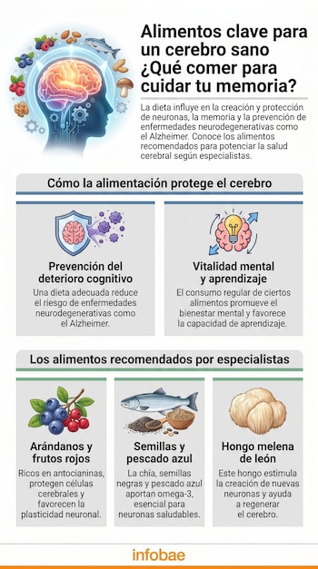 Infografía con silueta de cabeza y cerebro brillante, rodeada de arándanos, pescado, semillas, nueces y hongo melena de león. Contiene texto sobre dieta para la salud cerebral.