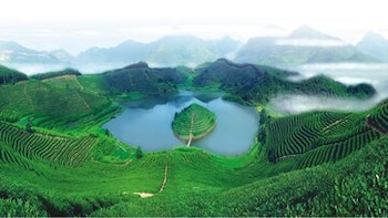 Xinhua Silk Road: Un equipo