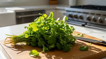 Tácticas fáciles para evitar que tus hierbas frescas no terminen en la basura