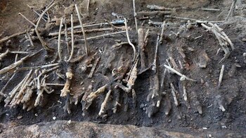 Miles de espadas y otras