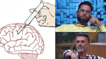 Imágenes: Twitter/ViX.