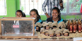 En Campo Gallo, Santiago del