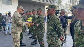 Bambi buckets y elementos para