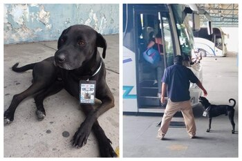 @AmigosDeLuchoCdHidalgoMichoacan