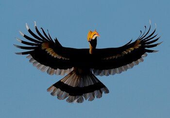 EFE/EPA/LYNN BO BO