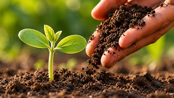 La voz del suelo, y las reglas de juego necesarias para un agro más competitivo