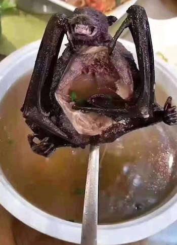 La sopa es considerada un