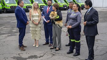 La renovación incluye las