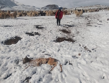 Alrededor de 40 familias afectadas