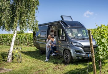 ILUSTRACIÓN - Entran muchas cosas