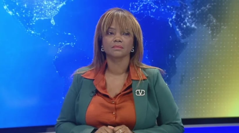 La abogada particular Suky Yard confirmó que en la audiencia se abordaron hechos de maltrato que, según sostuvo, habrían ocurrido de forma reiterada desde 2022. (Tomada de TVN)