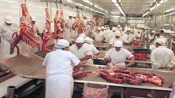 Algunos alimentos, como las carnes,