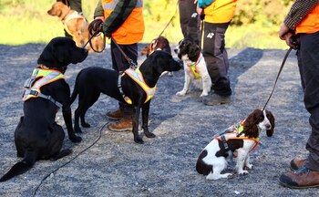 Las razas criadas para el
