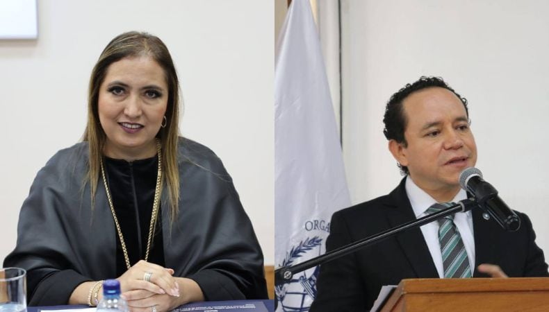 El magistrado Estuardo Adolfo Cárdenas manifestó su voto en contra del comunicado de la Corte Suprema de Justicia, argumentando que quienes ocupan cargos públicos deben estar conscientes de que recibirán ofensas. (Cortesía: Cortes Suprema de Justicia)