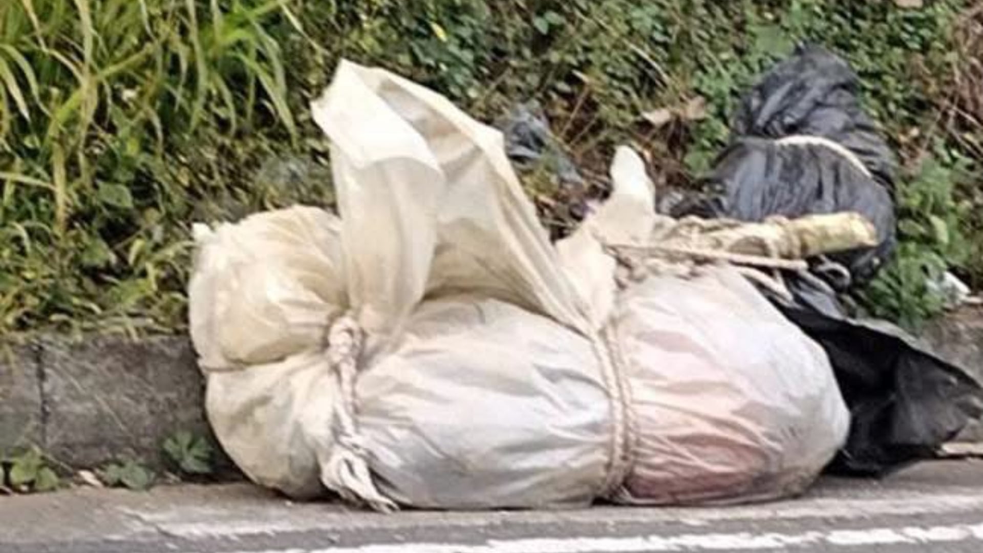 Hallan un cuerpo dentro de costales en Pereira: autoridades investigan posible vínculo con el crimen organizado