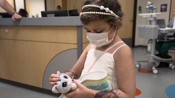 Cerca del 80% de los