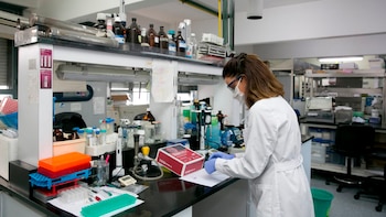 El laboratorio del Instituto de