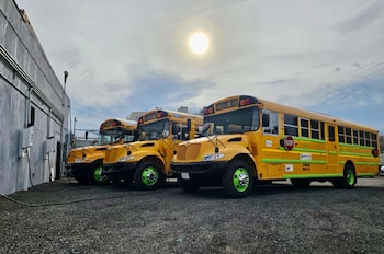 Tres autobuses escolares amarillos con detalles verdes estacionados junto a un muro y conectados a puntos de carga por cable