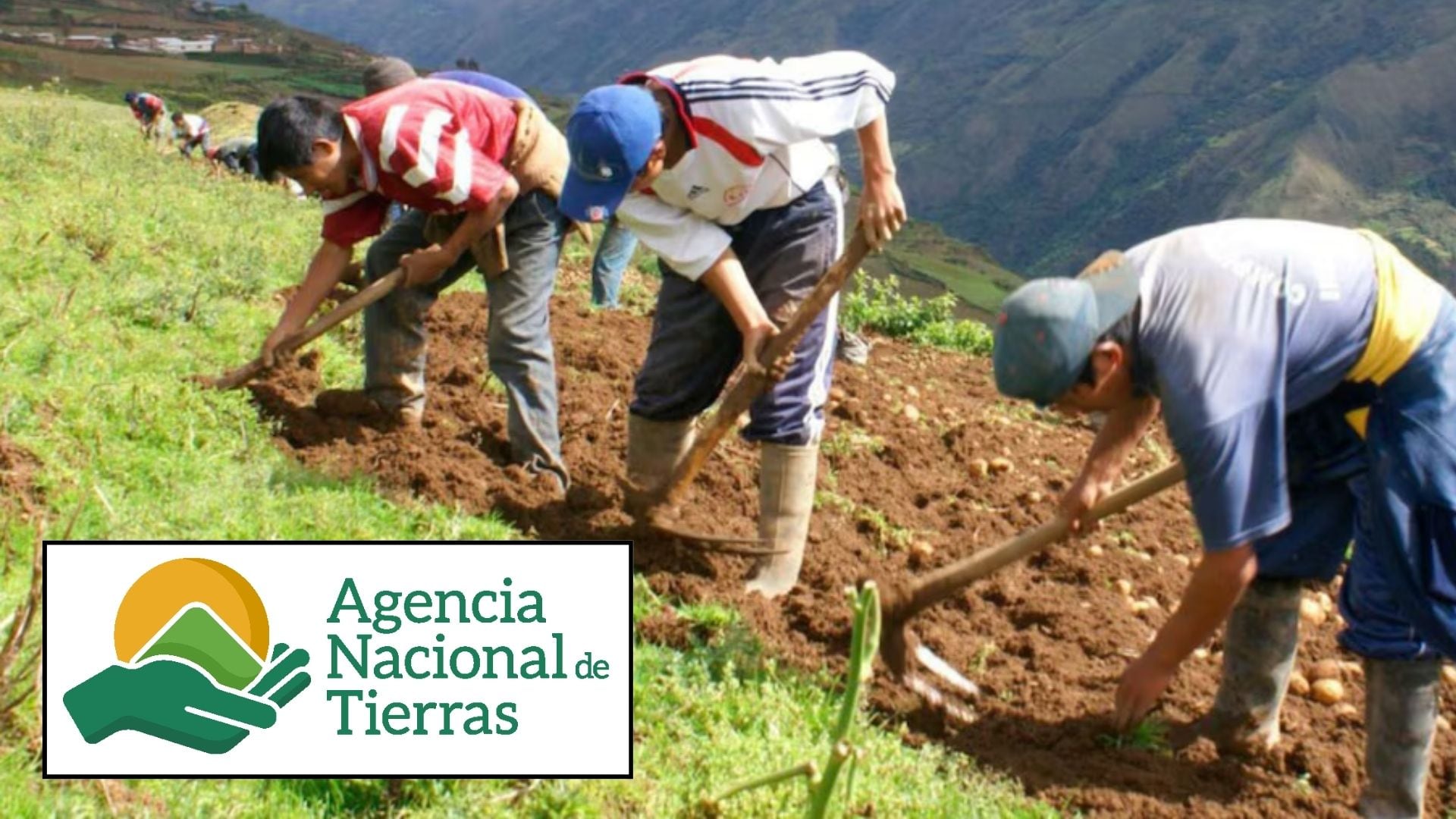 La decisión se produjo tras una acción de cumplimiento presentada por FEDeColombia, que cuestionó la falta de información disponible en Secop II sobre los procedimientos utilizados por la ANT para adquirir y adjudicar tierras - crédito Andina y Agencia Nacional de Tierras