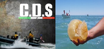 El Cártel de Sinaloa se