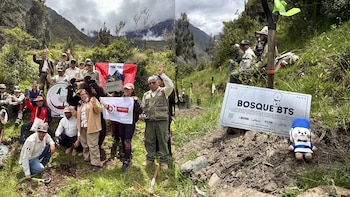 ARMY de Perú lanza iniciativa ambiental para crear el “Bosque BTS” en Machu Picchu