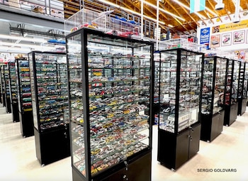 La exhibición de Goldvarg también