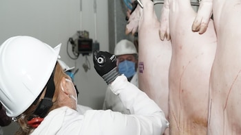 Refuerza Edomex vigilancia sanitaria en